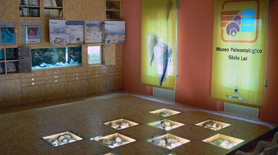 Museo paleontologico Silvio Lai